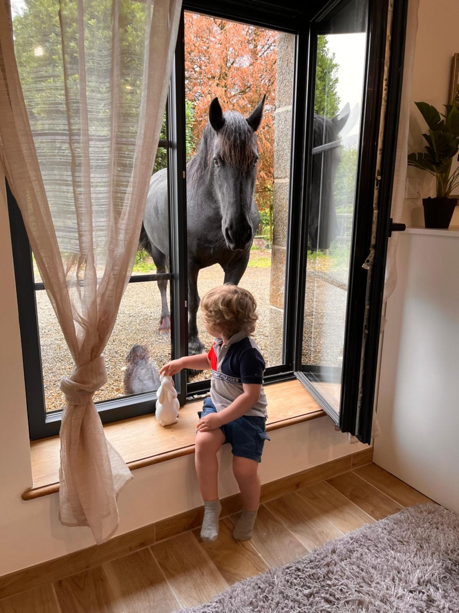 Madelaine Ranch, Nouvelle Piscine 2025 Villa Le Gast Exteriör bild